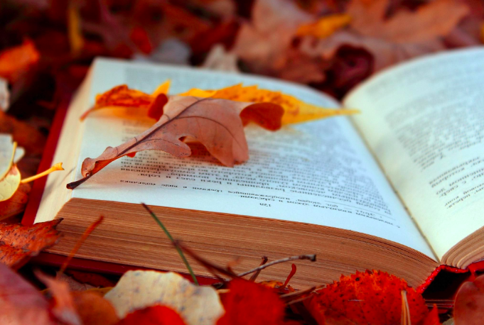 Screenshot from 2024-07-25 16-58-17